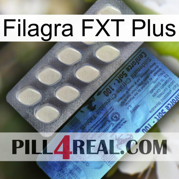 Filagra FXT Plus 34.jpg